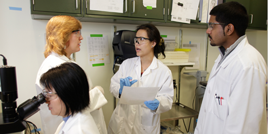 Graduates talking in the lab