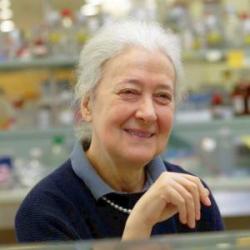 Melitta Schachner, Ph.D.