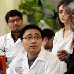 Visiting Scholars